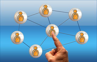 AYX体育-中小学篮球课程内容不断丰富提升学生篮球综合素养，中小学篮球教学方法